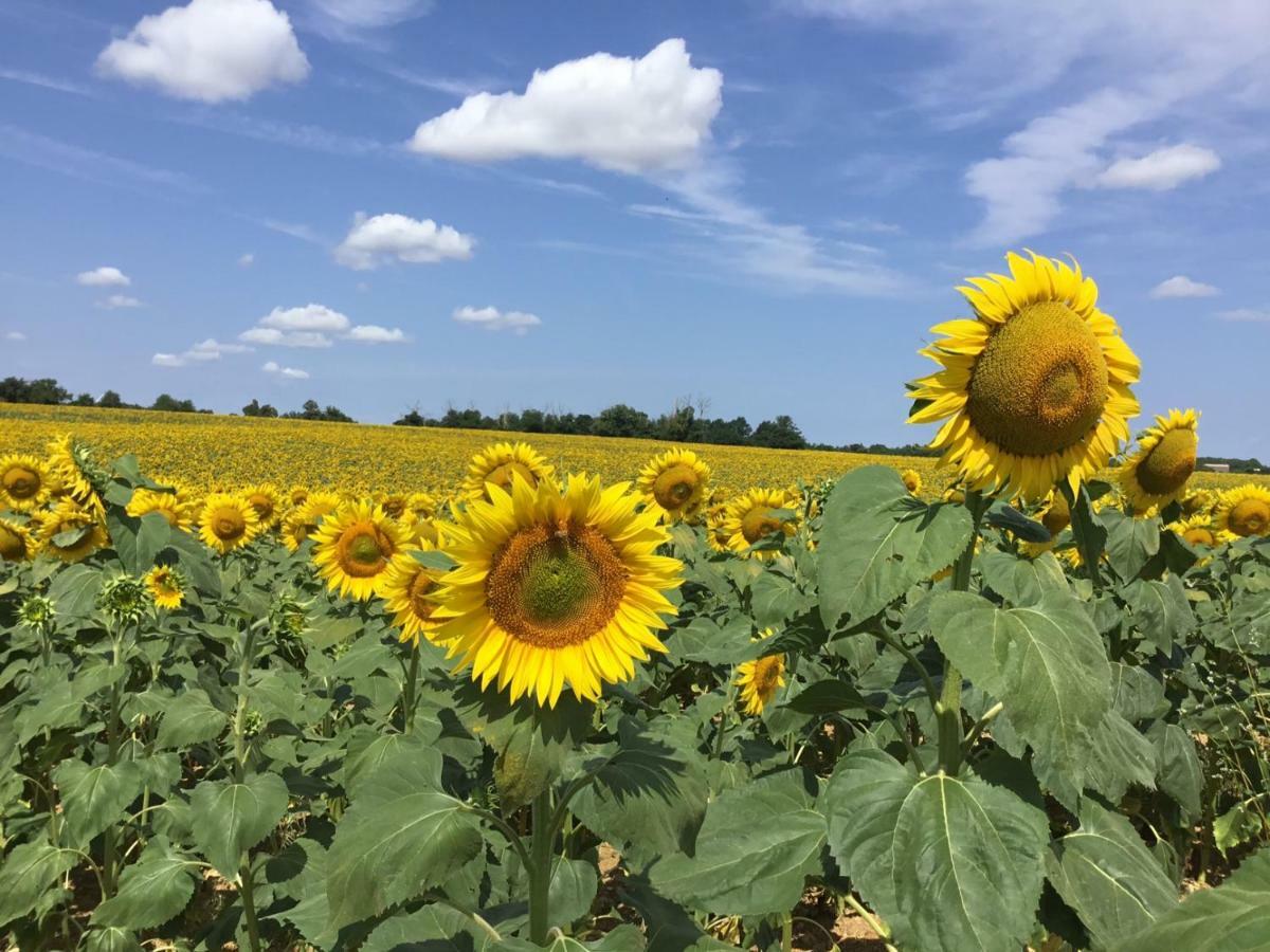 La Vieille Maison Rose Bed & Breakfast Nanteuil-en-Vallee ภายนอก รูปภาพ